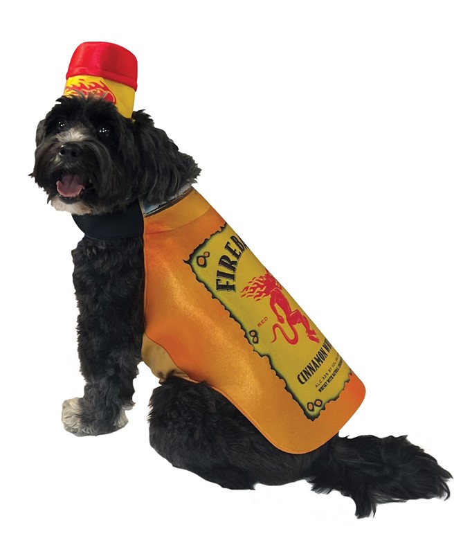 Rasta Imposta Fireball Bottle Dog Halloween Costume, Size 2X-3X R1315-2X3X