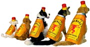 Rasta Imposta Fireball Bottle Dog Halloween Costume, Size 2X-3X R1315-2X3X View 2