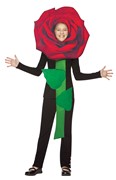 Rasta Imposta Red Rose Flower Costume, Child Size 7-10 GC1167710