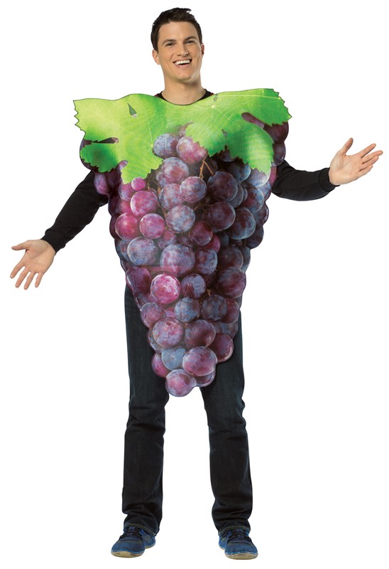 Rasta Imposta Grapes Costume, Adult One Size 6832