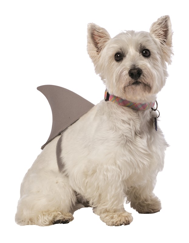 Rasta Imposta Shark Fin Dog Pet Costume, Available in Sizes Small to XX-Large GC5011