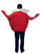Rasta Imposta Kool Aid Guy Costume, Adult One Size GC4447 View 2