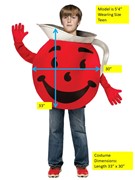 Rasta Imposta Kool Aid Guy Costume, Teen One Size GC44471316 View 2