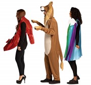 Rasta Imposta Ruby Slipper, Lion & Rainbow Halloween Group Costume, Adult One Size 20034 View 3