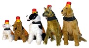 Rasta Imposta Fireball Bottle Dog Halloween Costume, Size Small - Medium R1315-SM View 3