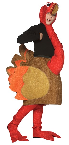 Thanksgiving Turkey Costume, Child Size 7-10