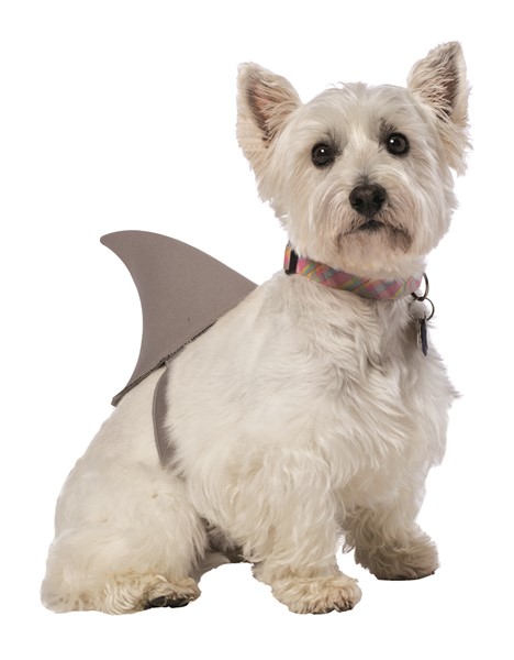 Shark Fin Dog Pet Costume, Available in Sizes Small to XX-Large