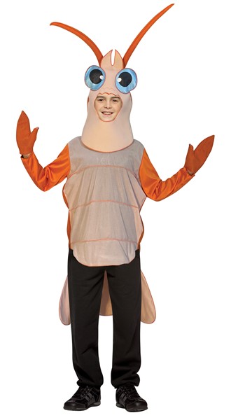 Shrimp Costume, Teen Size 14-16