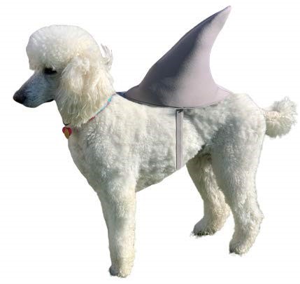 Great White Shark Fin Dog Costume, Size XL